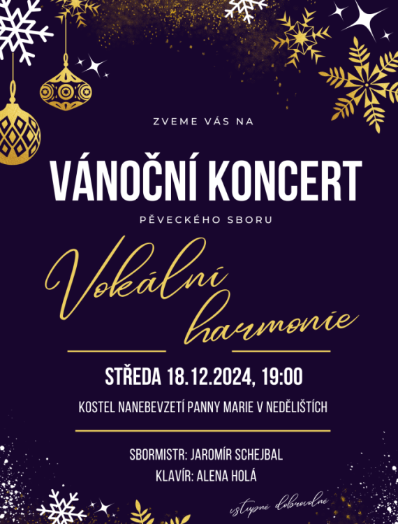 Vánoční koncert 