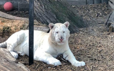 Exkurze biopark Štít